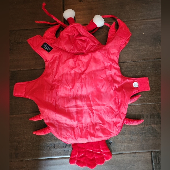 Dog costume - Picture 2 of 4